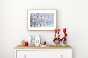 Haliburton woodland with snow laden tree limbs