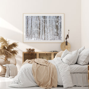 Layers of snowy trunks fade into a pale winter forest background