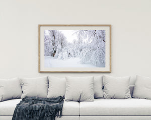 A winter nature photograph captures drooping branches coated in fresh snowfall