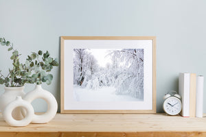 Soft snow covers the ground beneath a dense canopy of bowed tree limbs