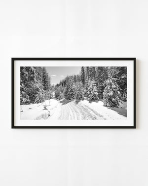 A snowmobile trail curves through snow-covered evergreens in Haliburton in black and white