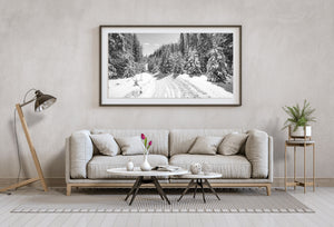 Snow-laden evergreens frame a gently curving Haliburton forest trail