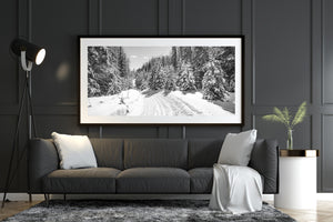 Parallel tracks cross bright snow beneath a pale winter sky