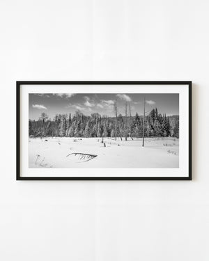 A snowy clearing meets evergreen forest beneath scattered clouds in Haliburton in black and white
