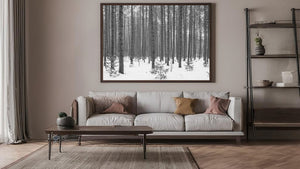 Dense tree stand in Ontario captured in soft winter light