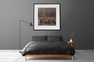 A square wetland photograph captures quiet water and tangled autumn reeds