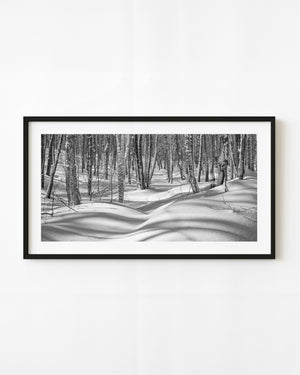 Long tree shadows cross deep snow in a panoramic Haliburton winter forest in black and white