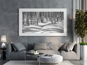 Snow clings to tree bark above gently rolling white forest ground
