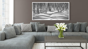 A wide monochrome landscape captures woodland trunks and winter light