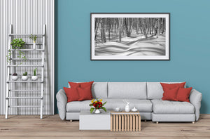 Repeating tree lines and long shadows create a textured winter forest panorama