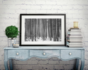 Repeating vertical trunks recede toward a pale misty woodland background