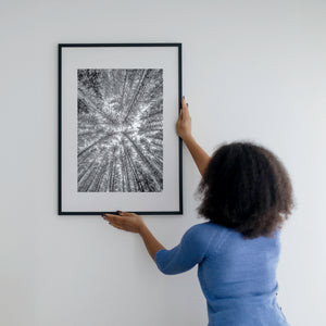 Vertical trunks and branches forming pattern in winter forest