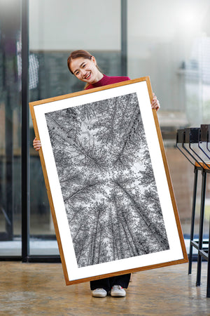 Forest canopy looking straight up at tall snow covered trees