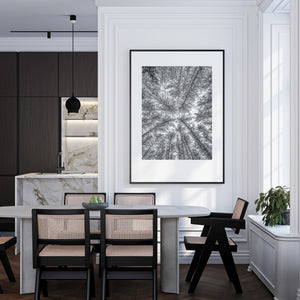 Dense woodland treetops converging toward the center of frame