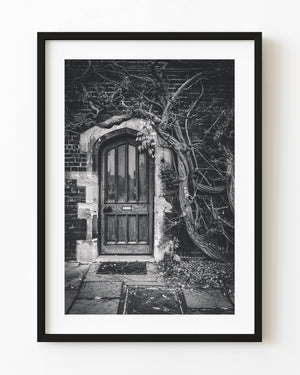 A weathered Hampton Court door sits beneath twisting climbing vines in black and white