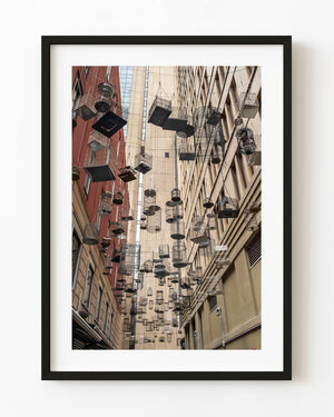 Empty birdcages hang between tall buildings above Sydney’s Angel Place in colour