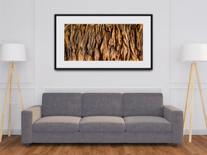 Traditional tobacco curing barn with hanging brown tobacco leaves