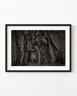 Large tree roots surround an old fortress doorway in Havana, photographed in black and white.