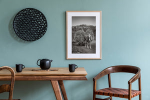 Horse pulling hay wagon on country road