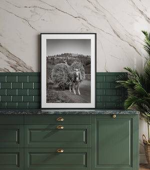 Farmer in touque on hay-filled wagon
