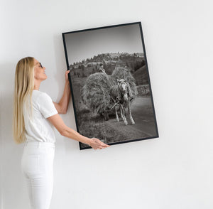Romanian countryside haymaking scene