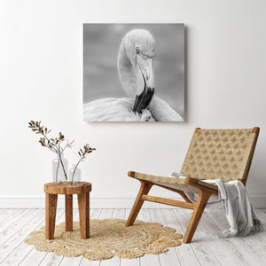 Graceful flamingo artwork photography print
