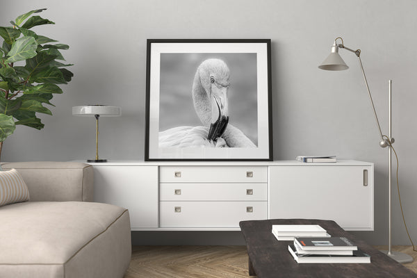 Headshot Of Flamingo in black and white | Photo Art Print fine art photographic print