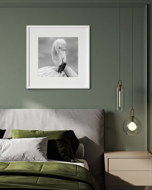 Flamingo feathers in black and white photo print