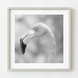 Flamingo side profile black and white artwork