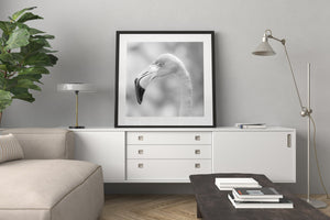 Flamingo wildlife artwork in black and white