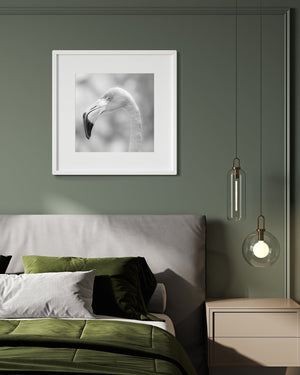 Graceful flamingo profile fine art photography