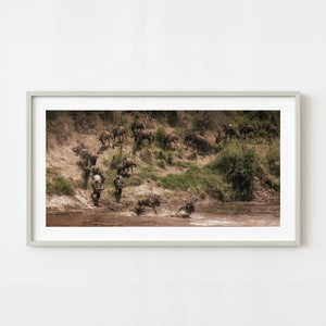 Herd of wildebeest descending the Mara River bank | Photo Art Print fine art photographic print