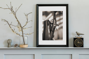 Sepia musket photograph with engraved metalwork, a wooden stock and worn leather straps.