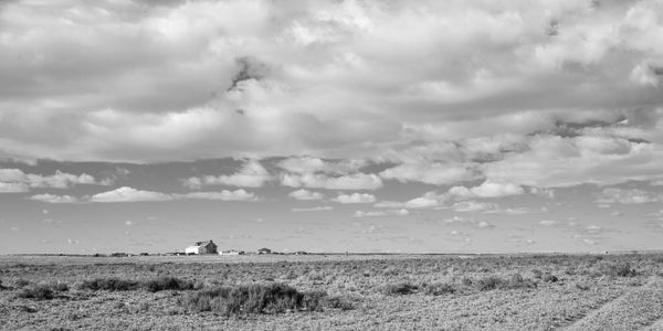 Black and White Arizona Desert