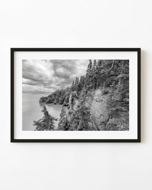 Forested coastal cliffs at Hopewell Cape in New Brunswick above calm water beneath a cloudy sky, in black and white.