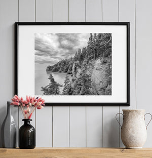 Evergreen trees frame rugged coastal rocks at Hopewell Cape in a black and white photograph.