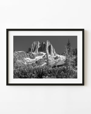Howser Spires rise above snow patches and alpine plants in the Bugaboos, photographed in black and white.