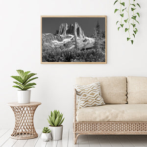 Black and white Bugaboos scene with tall rocky spires, alpine shrubs and slender trees.