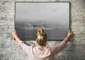 Nature wall art from Canadian waters