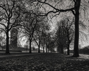 Black and white Hyde Park landscape with branching winter trees and a distant tower.