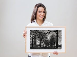 London’s Hyde Park in monochrome, with dark tree trunks and a pale winter sky.
