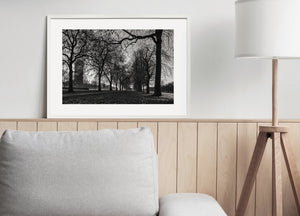 A low point of light shines between bare trees along a path in Hyde Park.