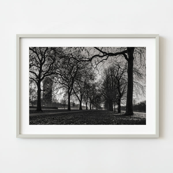 Hyde Park Winter Path Monochrome Wall Art