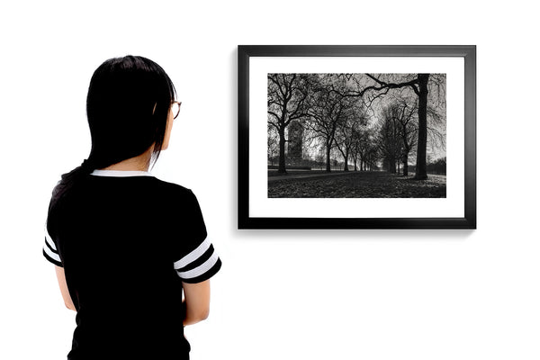 Bare Winter Trees London Monochrome Print