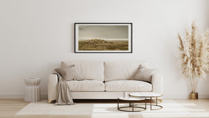 Brown, black and white horses spread across rolling Icelandic grassland beneath low clouds.