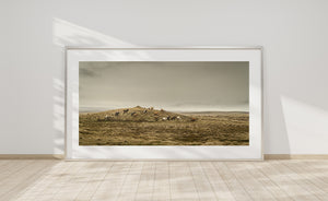 A group of horses grazes and stands among tufted grass on an Icelandic ridge.