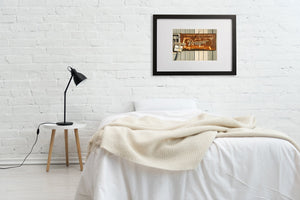 Retro Americana signage photography