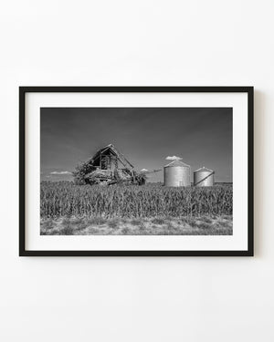 Collapsing Indiana barn and two grain silos beyond a cornfield, photographed in black and white.