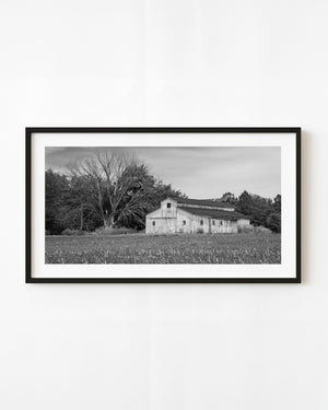 Black and white Indiana landscape with a weathered farm building and a large bare tree beside a field.
