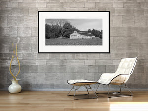 Indiana countryside with weathered wooden siding, a bare tree and textured crops in the foreground.